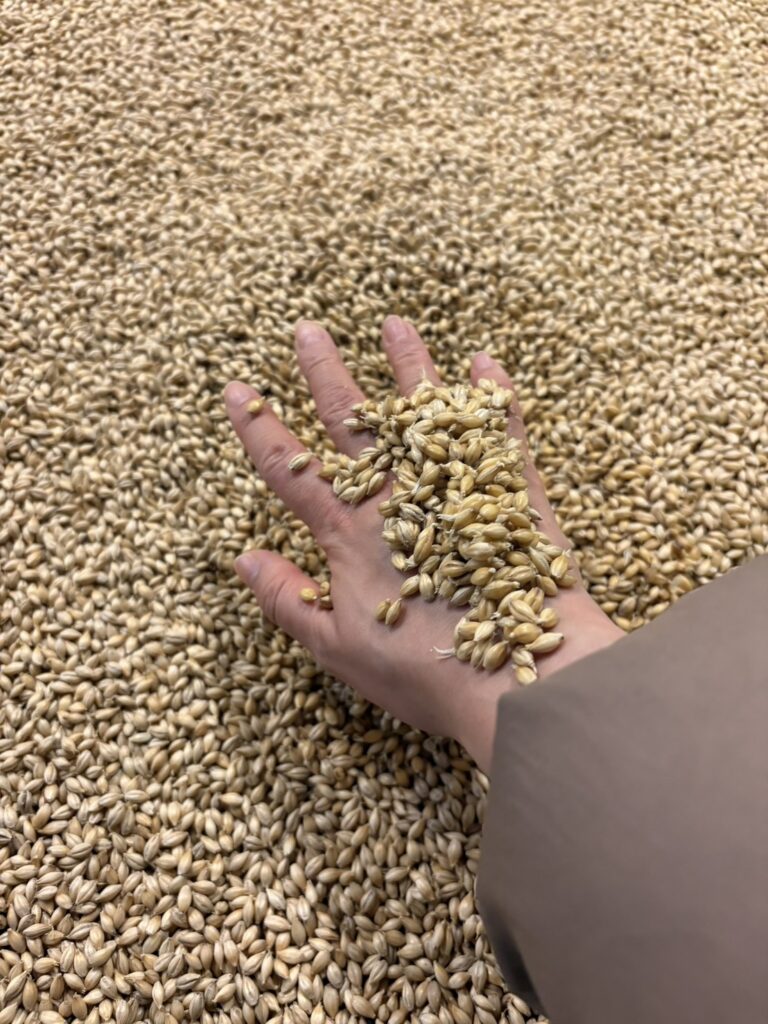 Mika Tanimoto of Bar Little Happiness Hiroshima experiencing traditional floor malting at Chichibu Distillery, the holy land of Japanese whisky."