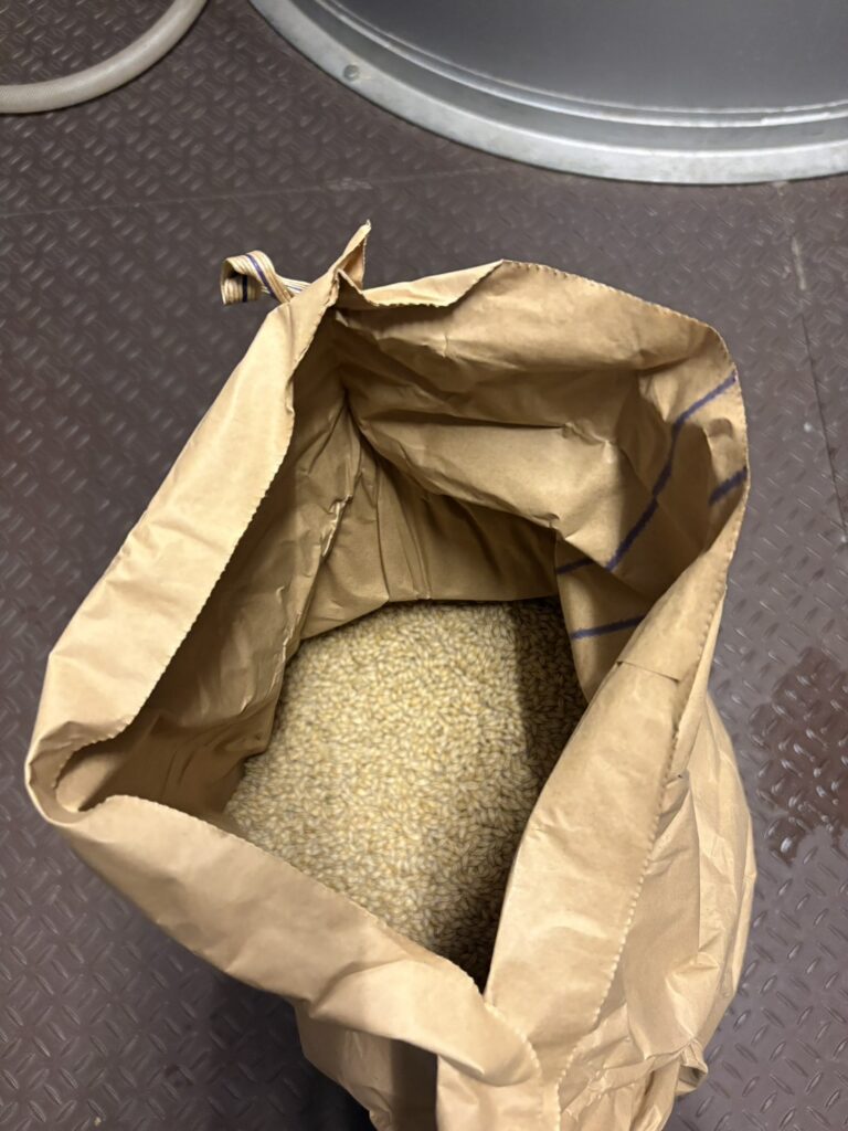 Mika Tanimoto of Bar Little Happiness Hiroshima experiencing traditional floor malting at Chichibu Distillery, the holy land of Japanese whisky."

