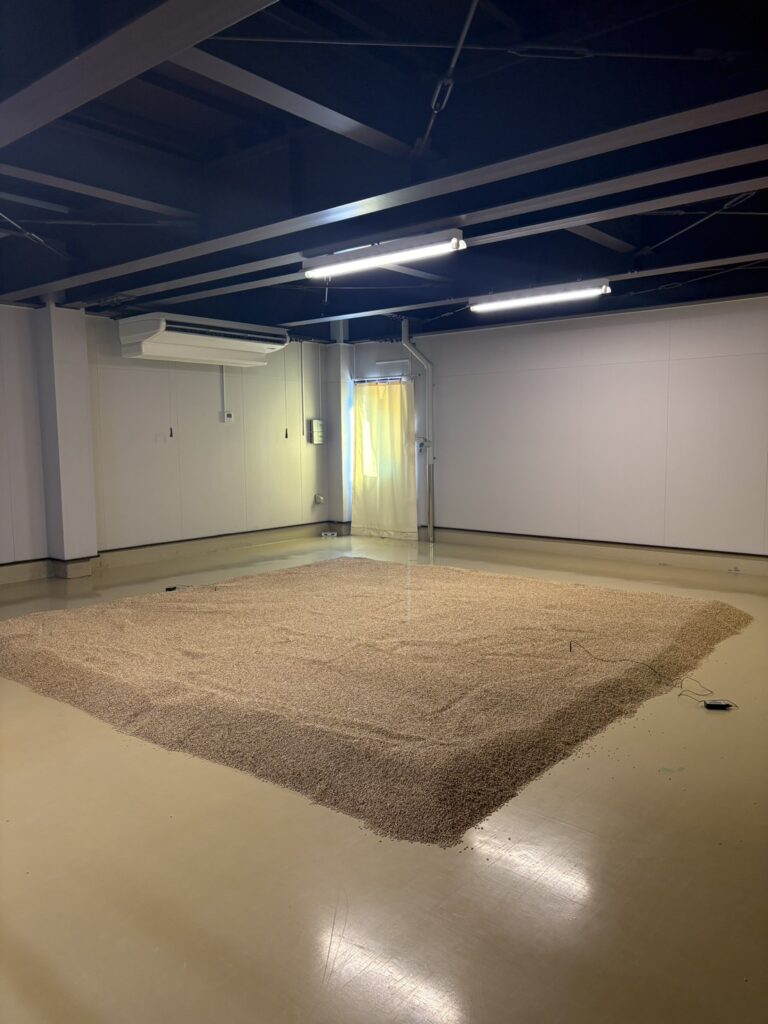 Mika Tanimoto of Bar Little Happiness Hiroshima experiencing traditional floor malting at Chichibu Distillery, the holy land of Japanese whisky."